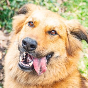 Team Page: Lou’s Crew